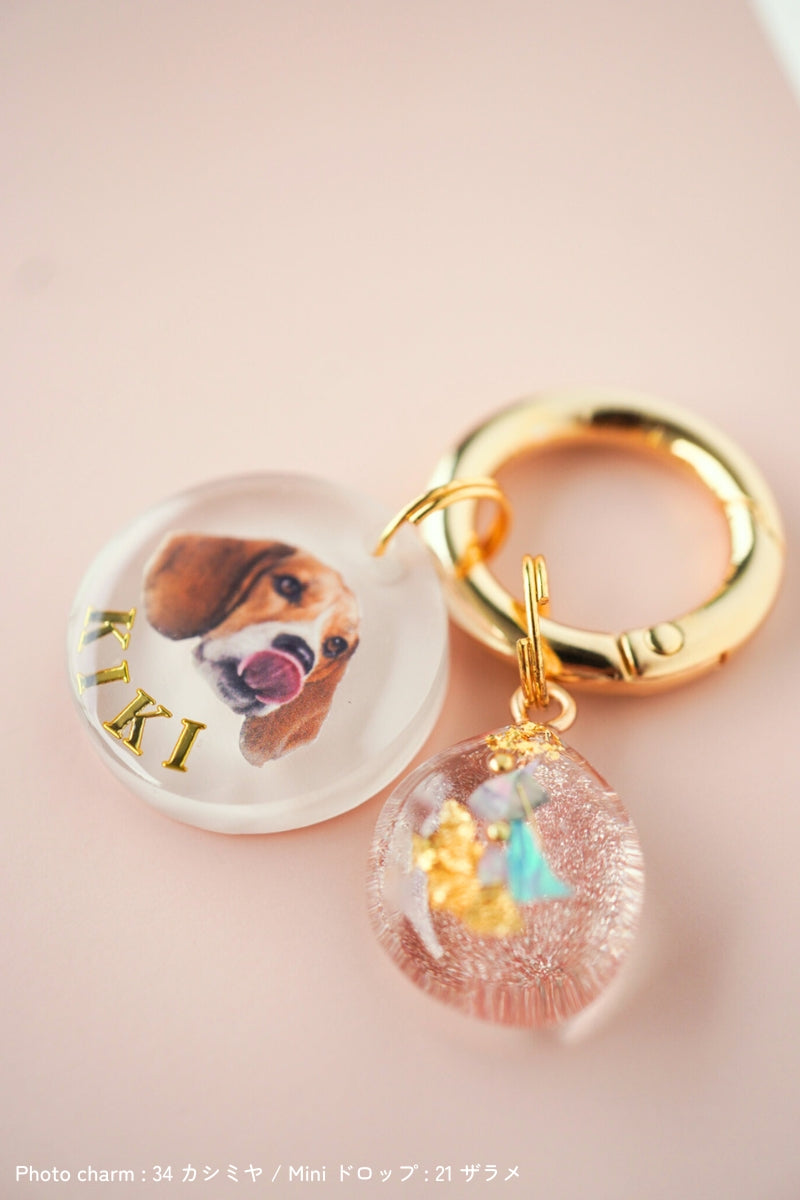 【フルカスタム】うちの子&ミニチャーム