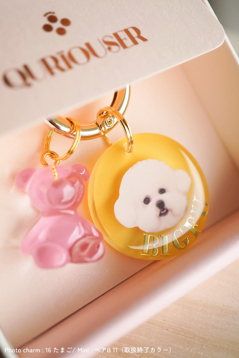 【フルカスタム】うちの子&ミニチャーム