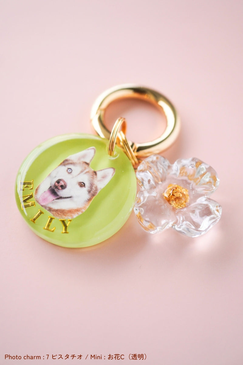 【フルカスタム】うちの子&ミニチャーム