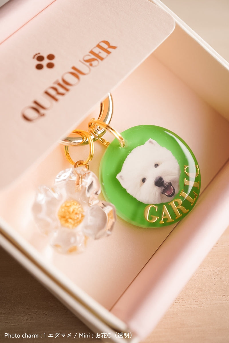 【フルカスタム】うちの子&ミニチャーム