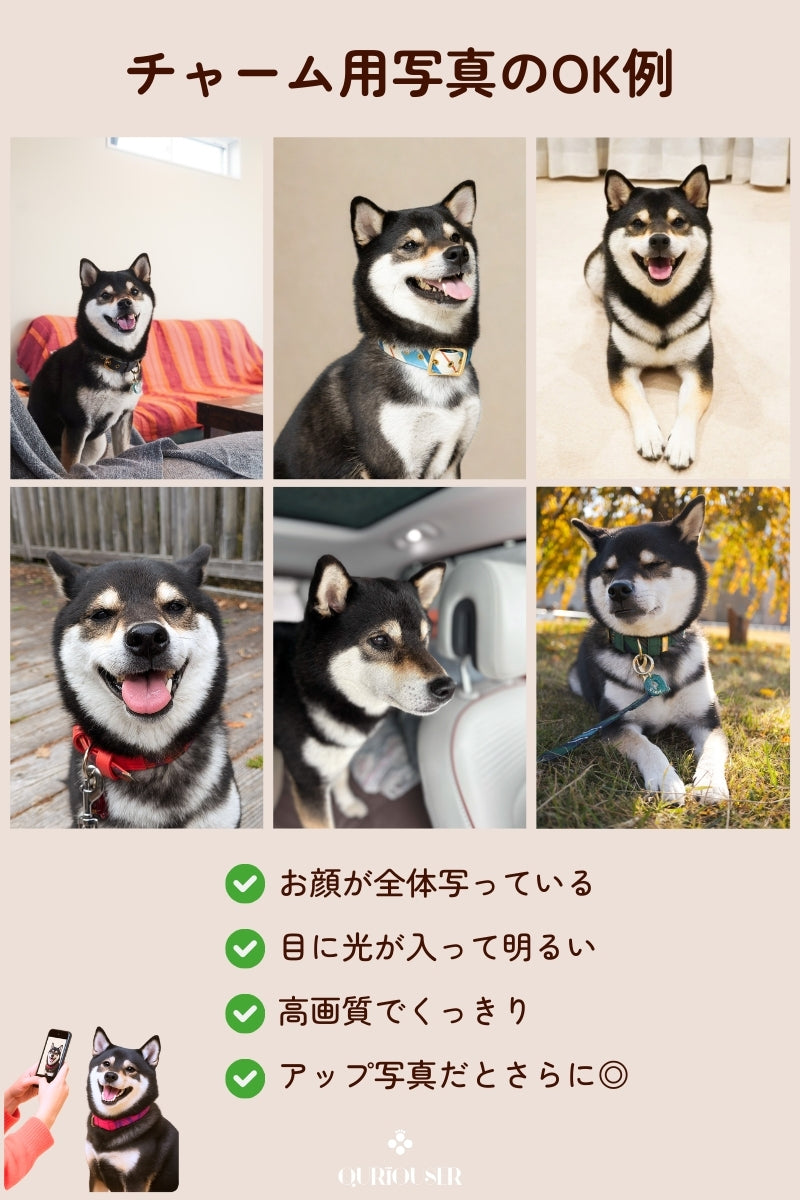 【フルカスタム】フルセット