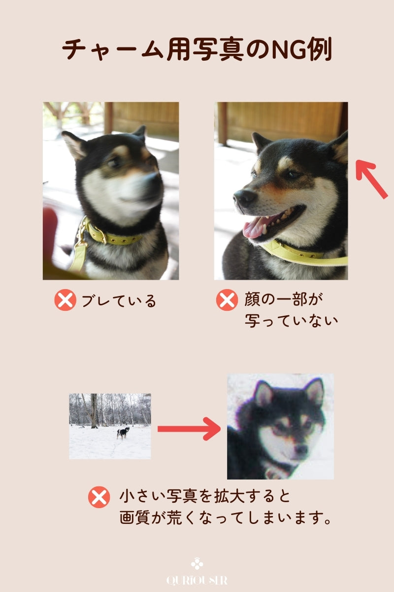 【フルカスタム】フルセット