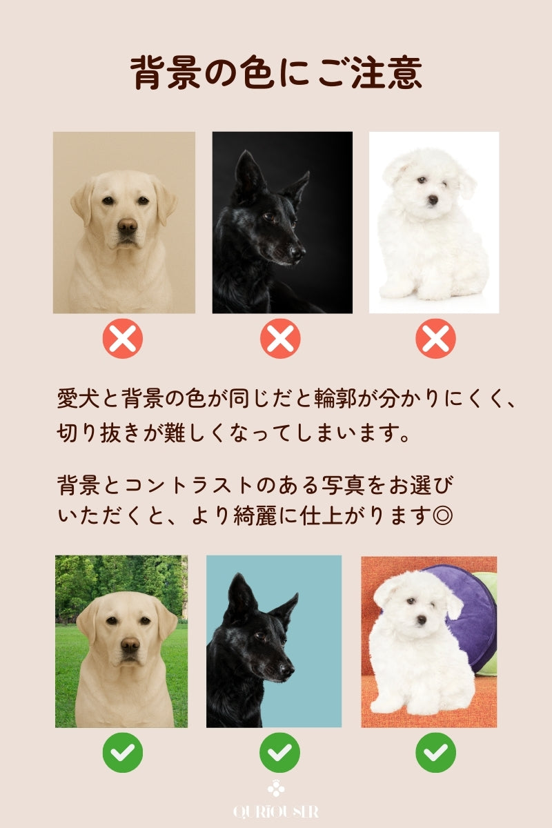 【フルカスタム】フルセット