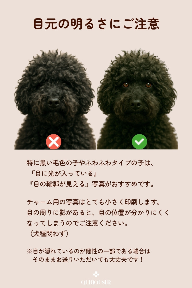 【フルカスタム】フルセット