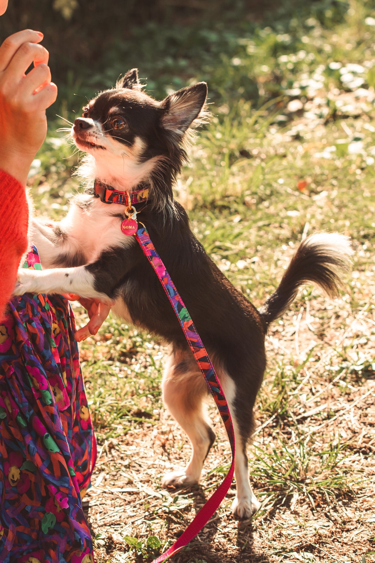 【小型犬専用】LIBERTY FABRICS COLLAR / Wandering