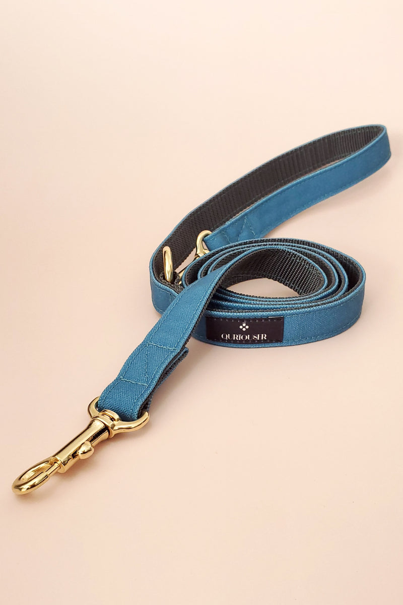 BASIC LEASH / BLUE