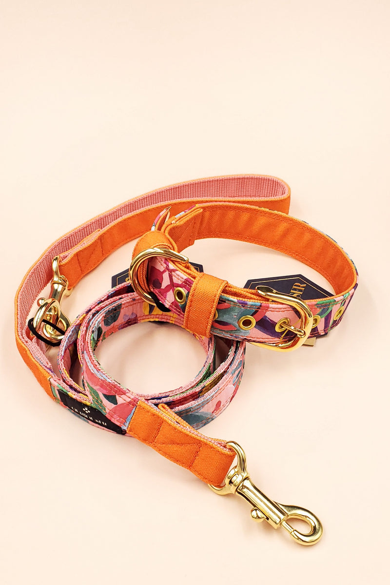 LIBERTY FABRICS LEASH / TROPICAL