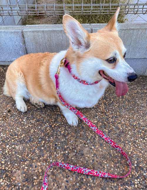 Liberty Fabrics leash / PINK