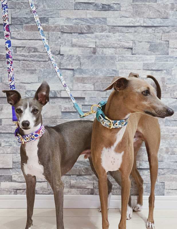 Liberty Fabrics collar / Smoky Green