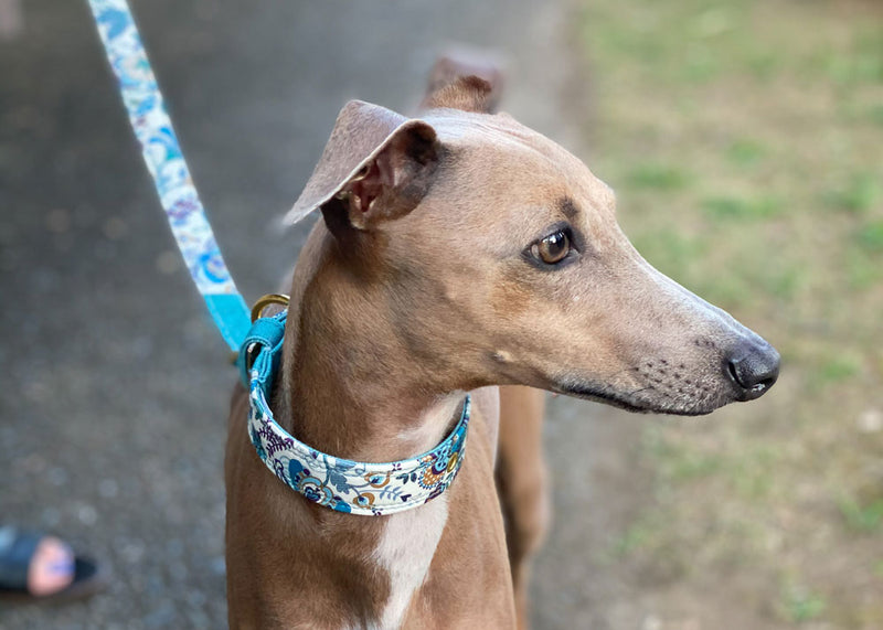 Liberty Fabrics collar / Smoky Green