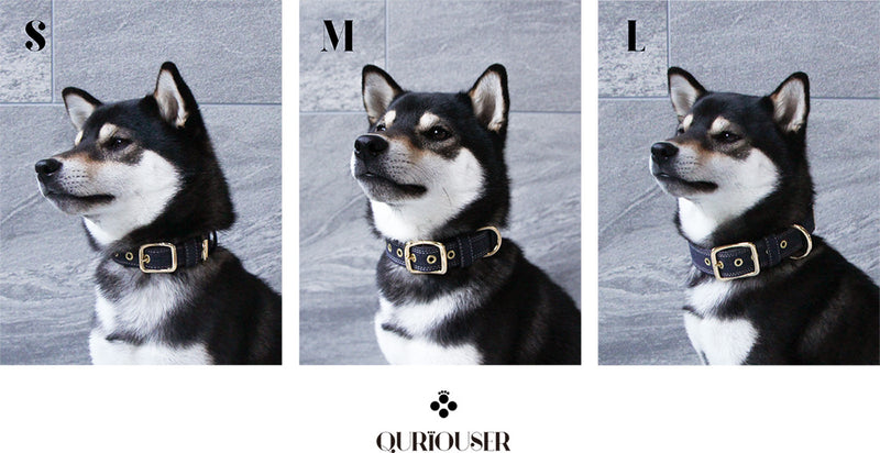 HYDRANGEA COLLAR